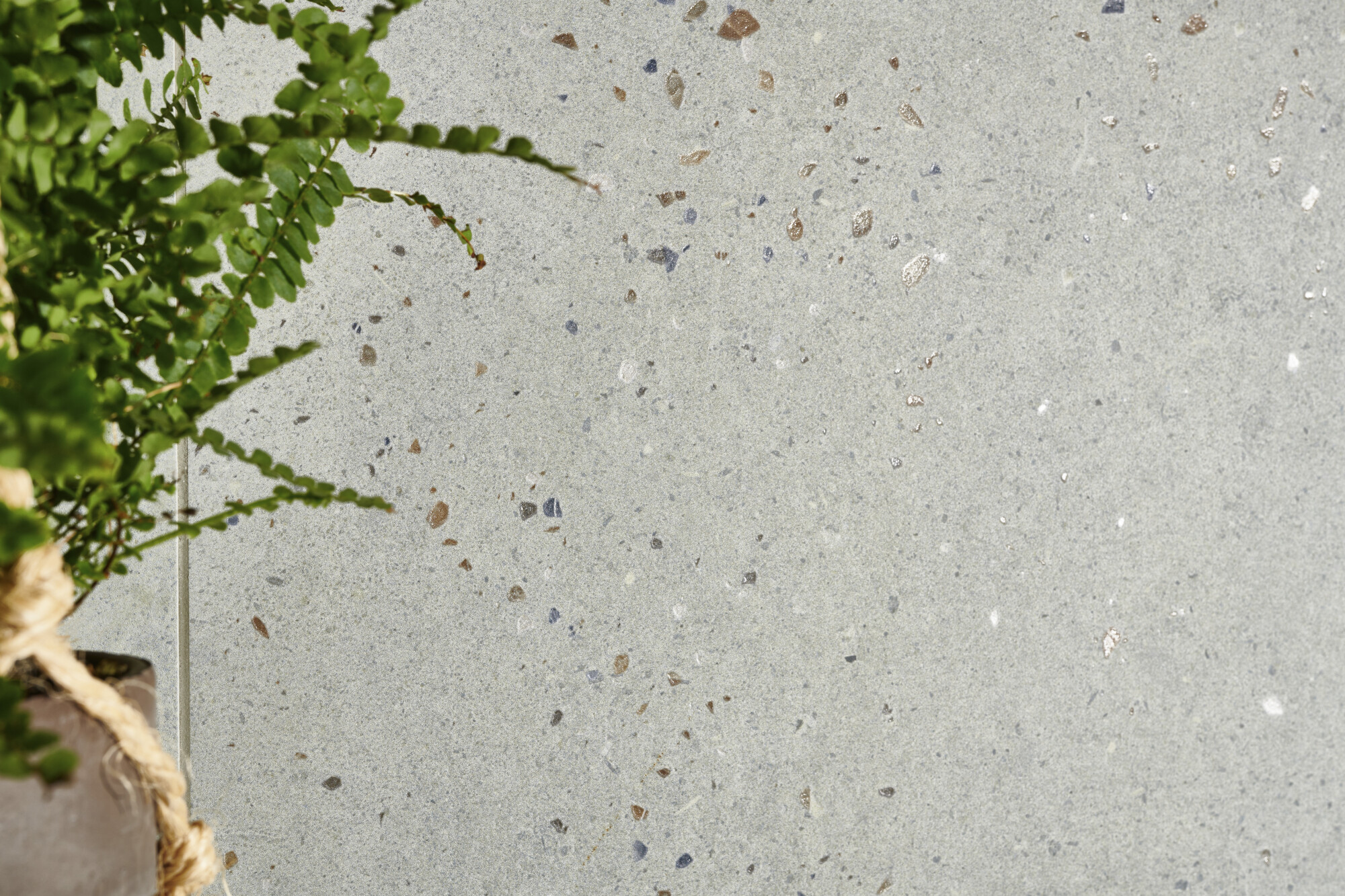 Harmony Sensa - фото 9