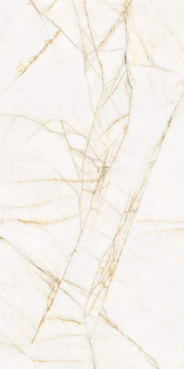 PF60017518 На пол Supreme Hedonism Golden Spider Nat R 60x120 - фото 13