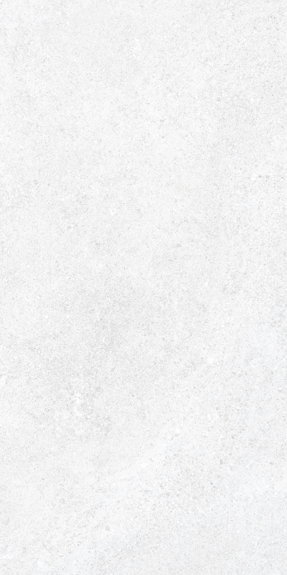 36905 На пол Cluny White 4D/50X100X2/A/R 50x100 - фото 8