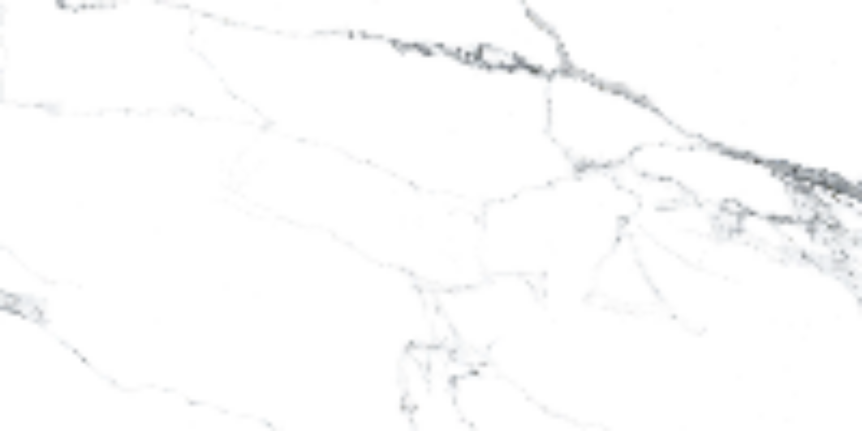 На пол Statuarietto White Pulido 60x120 - фото 2