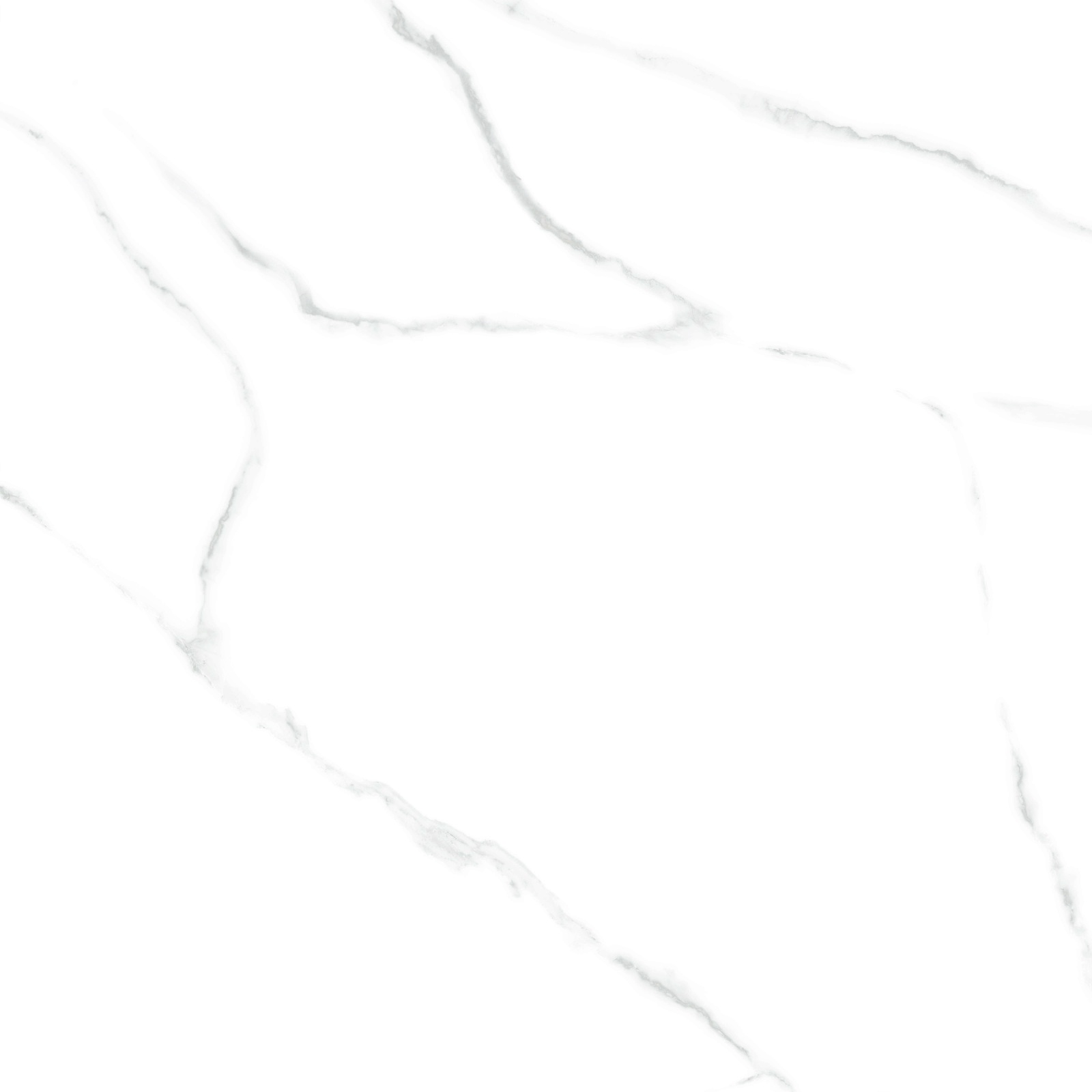 6060AMR00P На пол Atlantic Marble White 60 - фото 6