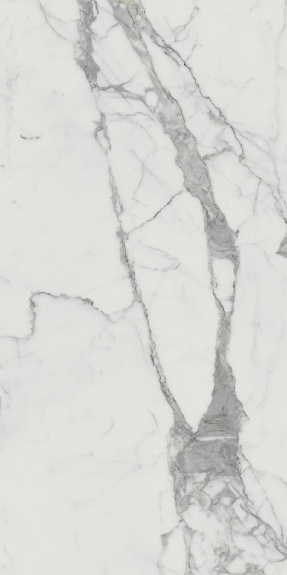 610010001682 На пол Charme Evo Floor Project Статуарио 80x160 Натуральный и Реттифицированный - фото 5