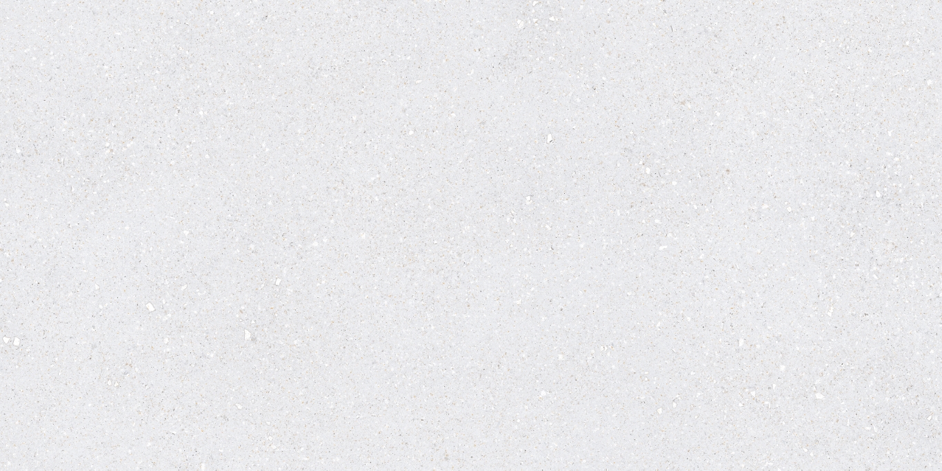 На пол Sassy White Rec 60x120 - фото 10