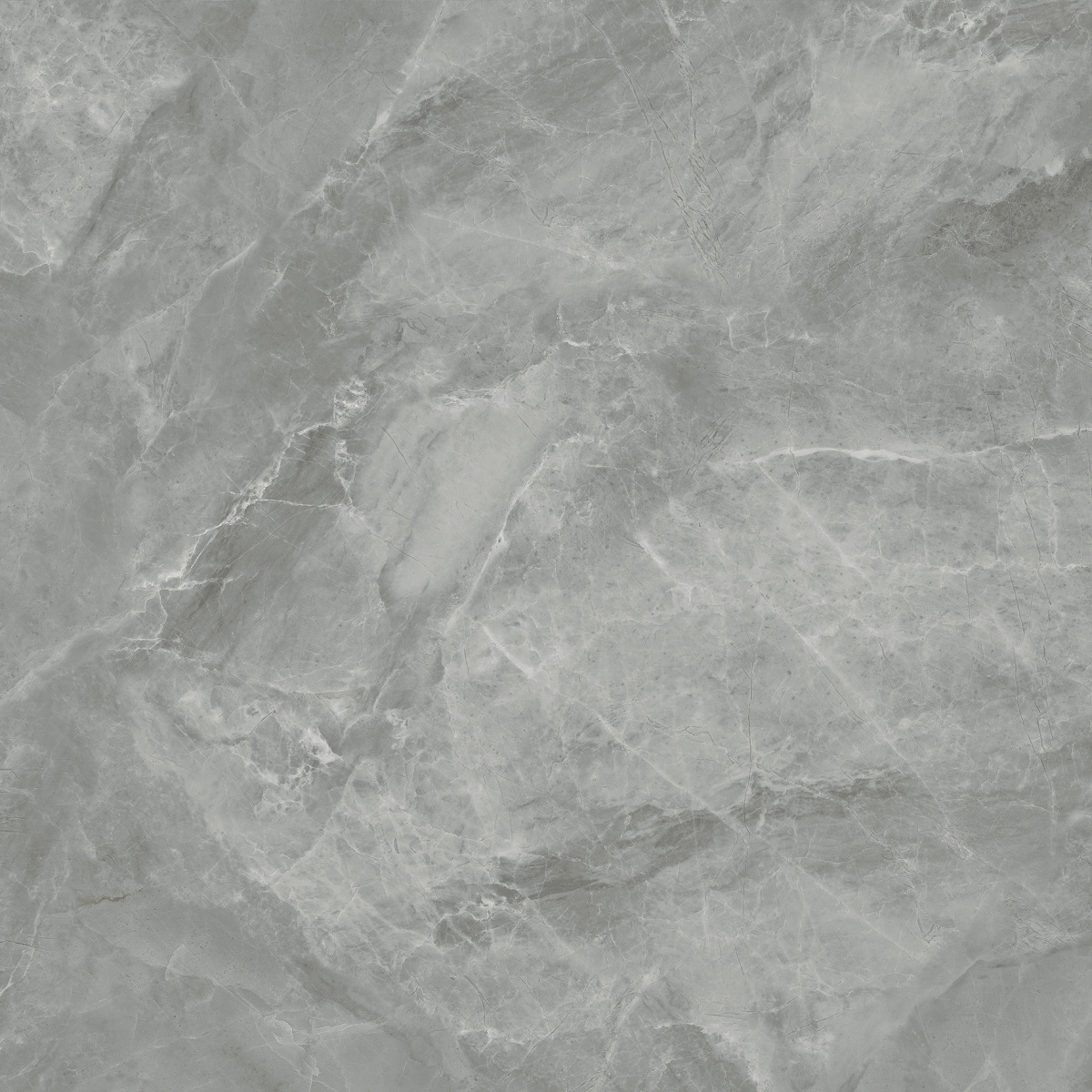 CR6060G0401R На пол Regnum Grigio серый матовый 59.5х59.5 - фото 4