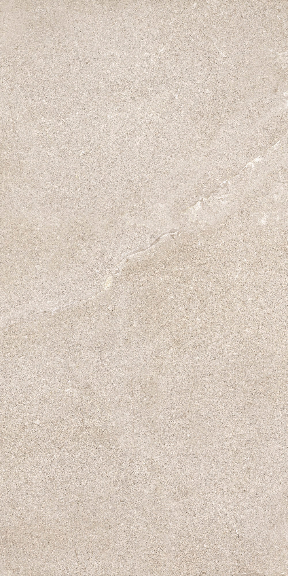 DNWS201 На пол New Stone Daino 60x120