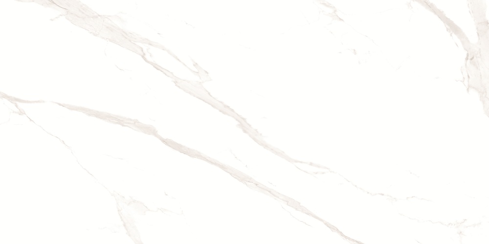 RP-238582  Pushkar White Matt 60x120 - фото 2