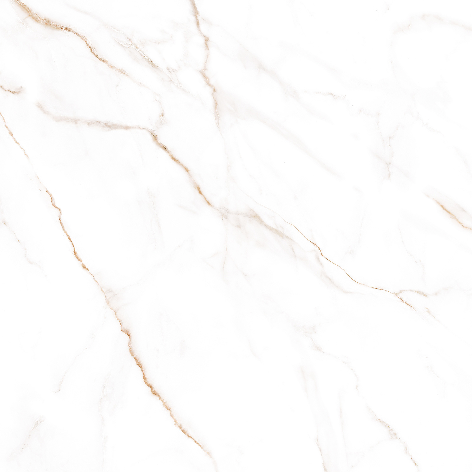 GFU04NCL04R На пол Neo Calacatta Матовый 04R 600x600x9.5