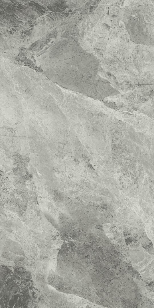 610010001689 На пол Charme Extra Floor Project Силвер 80x160 Натуральный И Реттифицированный - фото 6