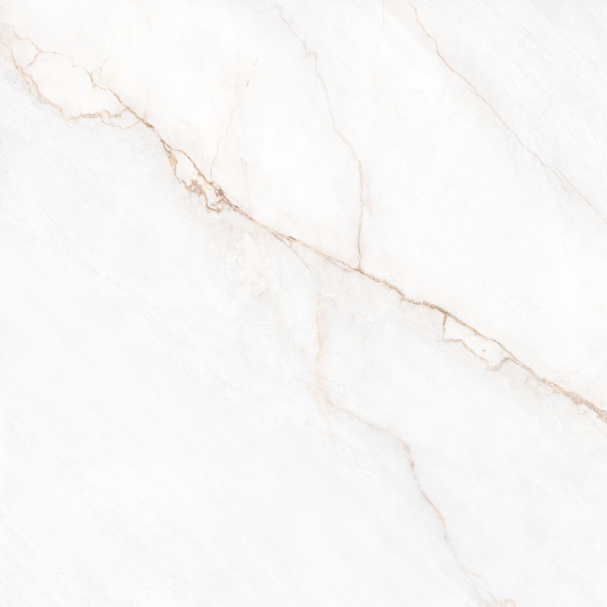 41431 На пол Museum Dahlia White SP/100X100X0.8/R 100x100