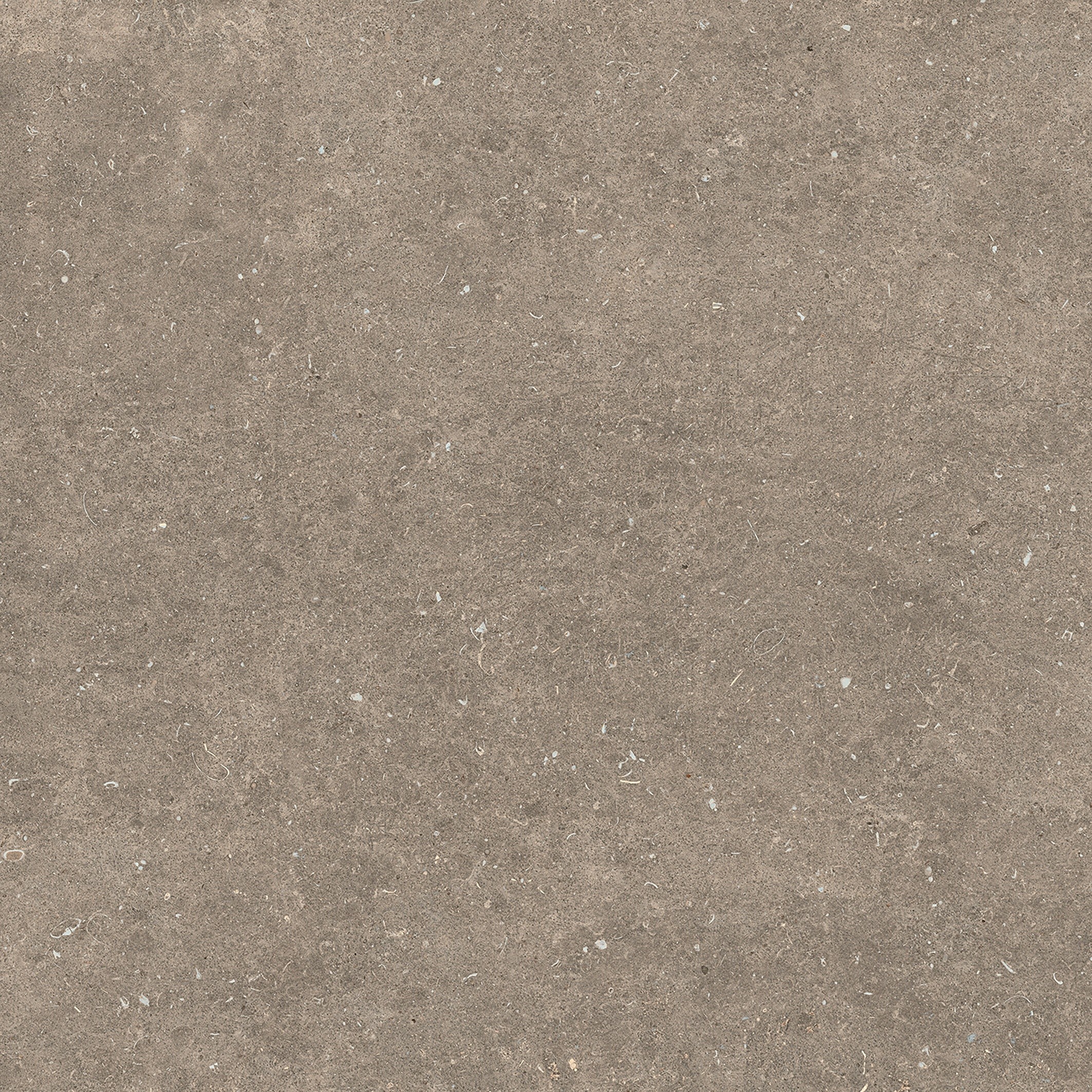 785580 На пол Rinascenza Arena Pietra Matte 6mm 120x120 - фото 3