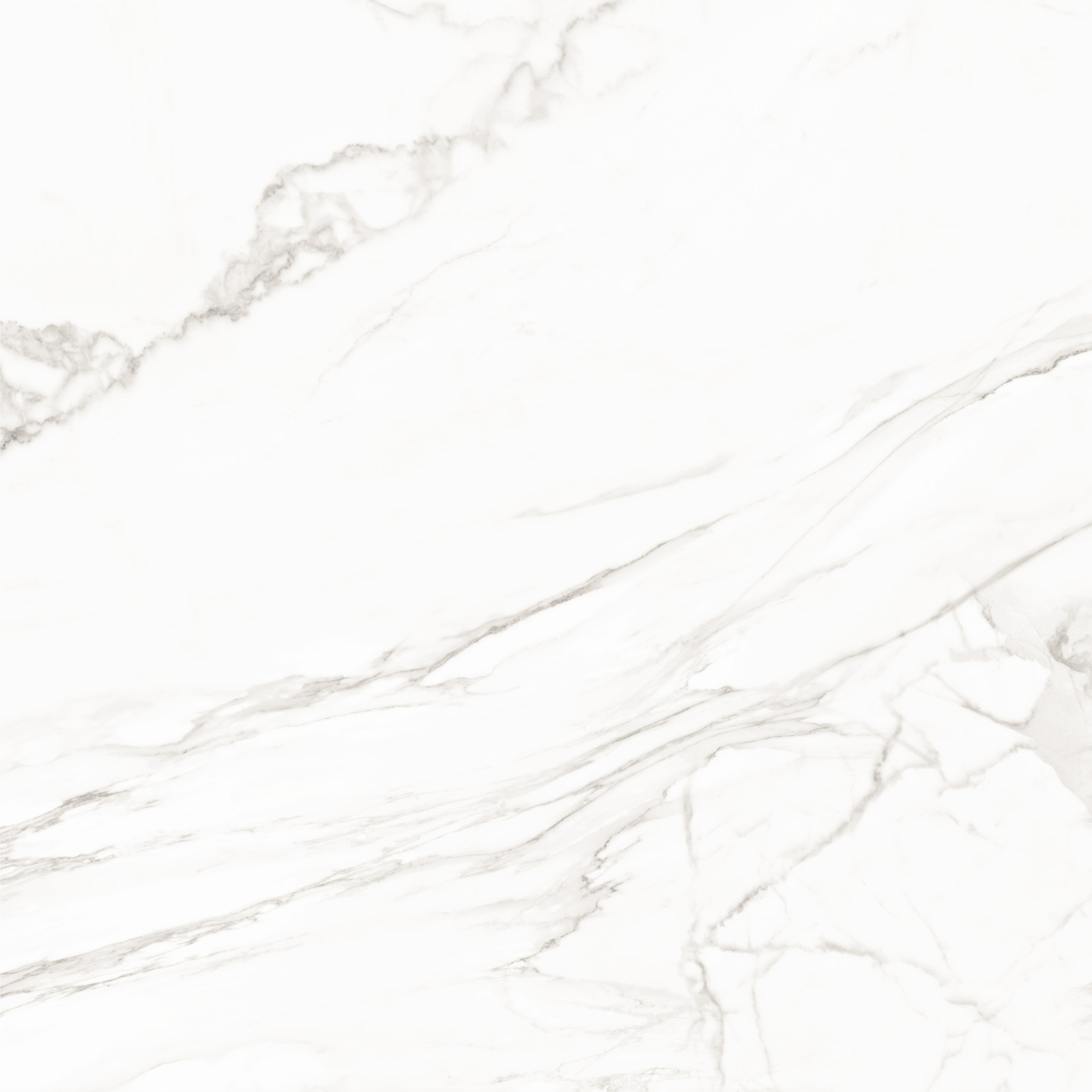 8080TRL00M На пол Trend Line Calacatta матовый 800x800 - фото 6