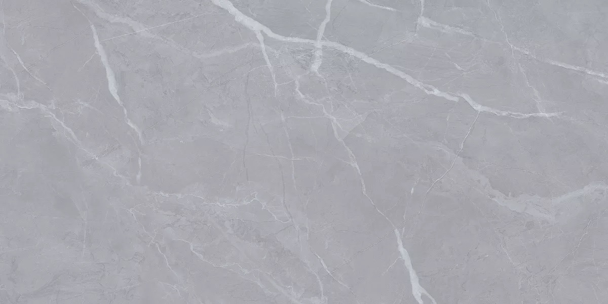 На пол Clovia Gris Glossy 60x120 - фото 2