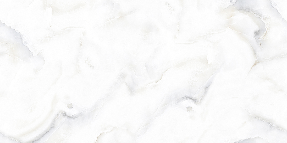 PRO 1149G На пол Dove Onix Gloss 1200x600 - фото 6