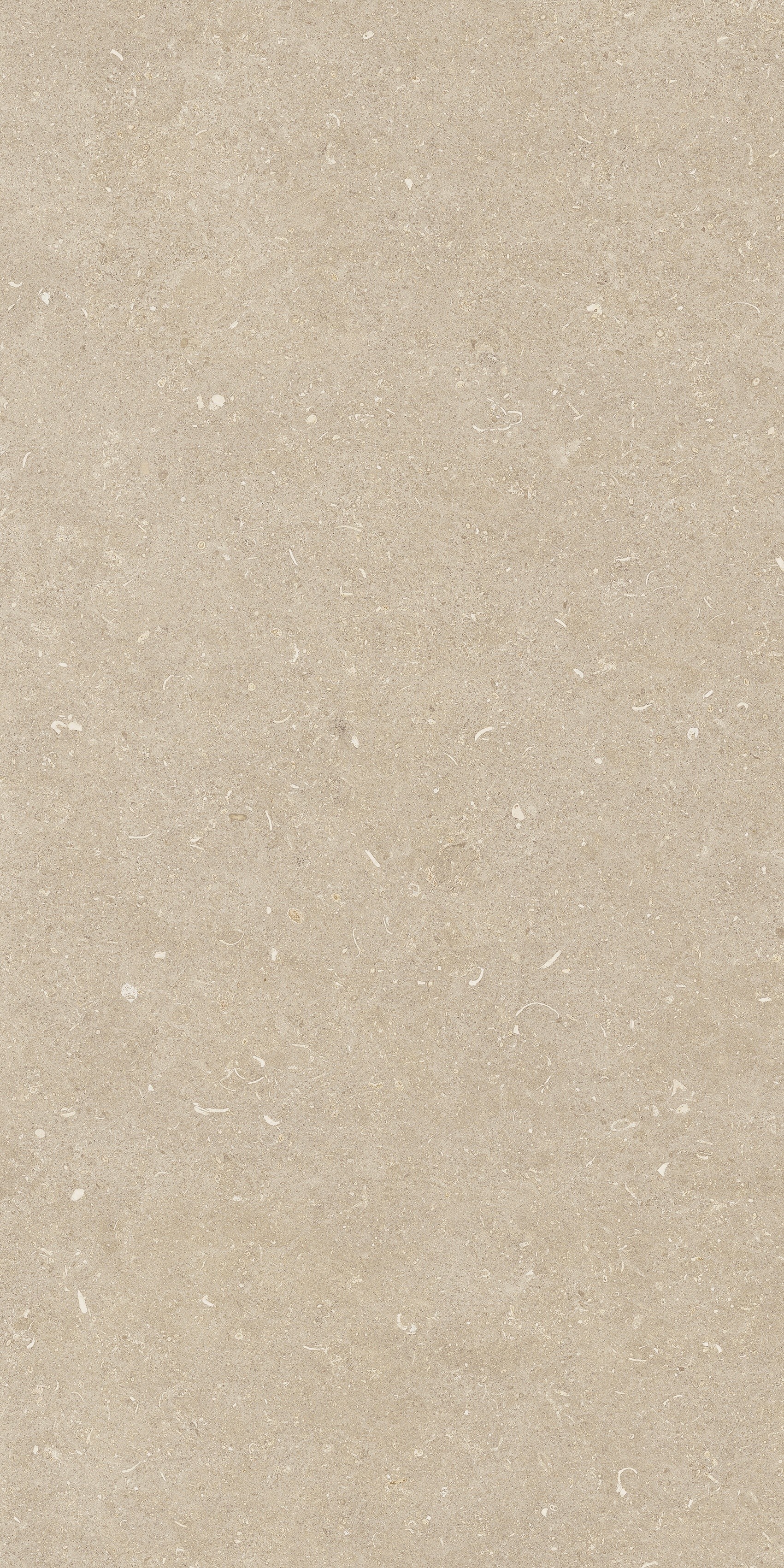 785481 На пол Rinascenza Arena Conchiglia Matte 60x120 - фото 9