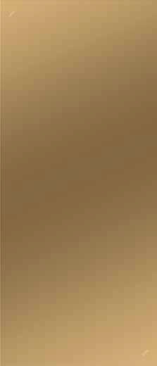 0030189 Декор Harmony Firma Gold Lux Rett 120x280