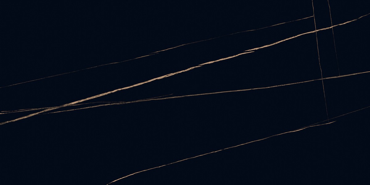 ENMAR1007HG60120 На пол Marble Sahara Noir High Glossy - фото 2