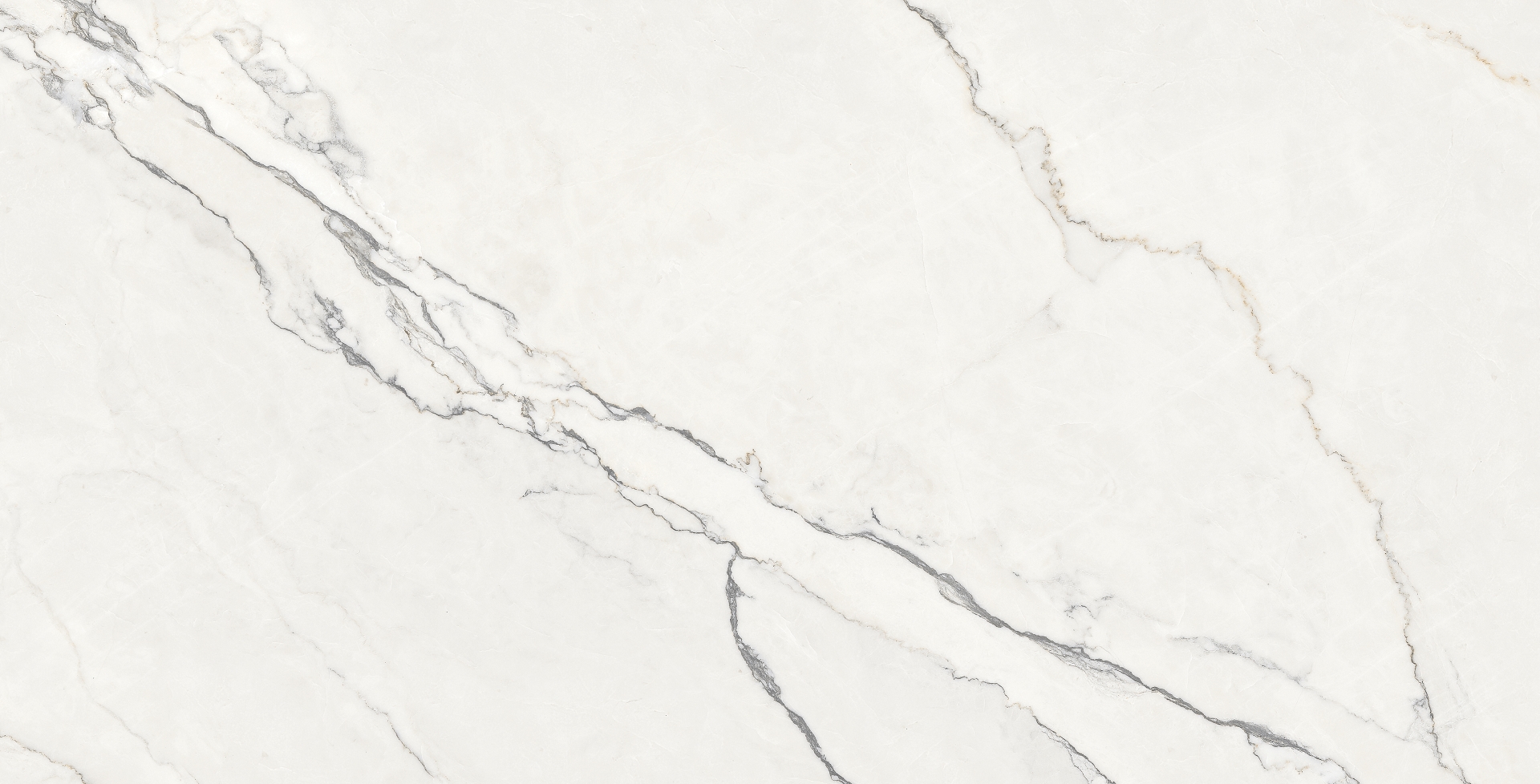 NTTHS99804D На пол Infinity Wisdom Stone 4D 60x120 - фото 6