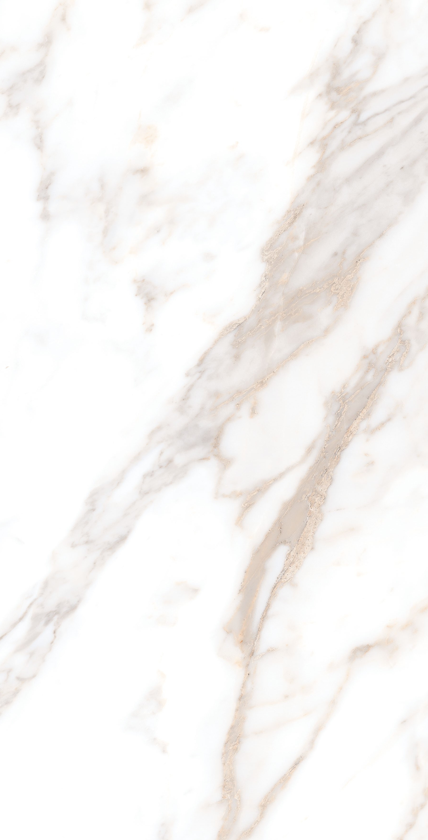 На пол Calacatta Borghini Sugar 60х120 - фото 6