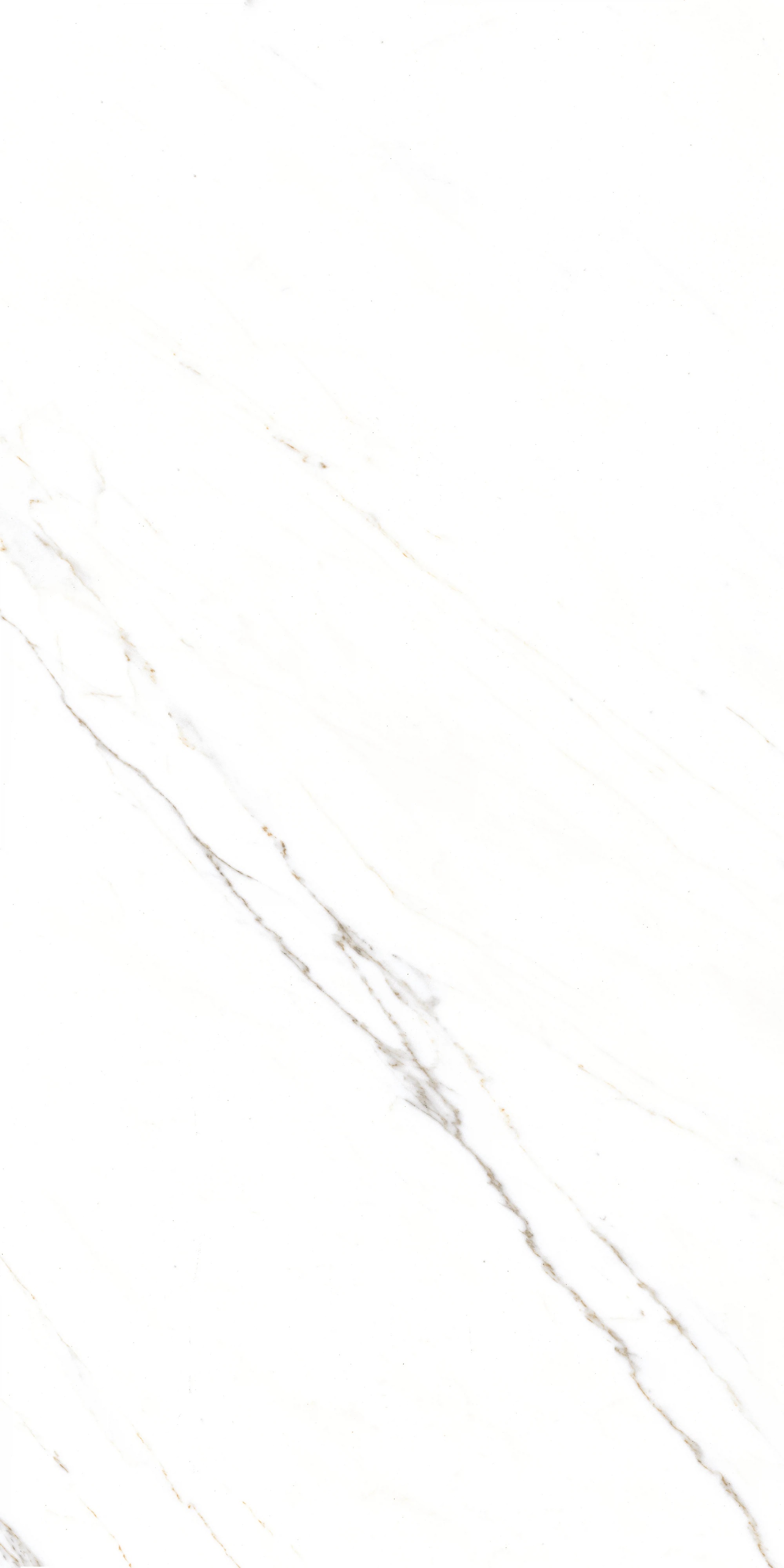 GT1206015103PR На пол Corus Белый полированный 60x120