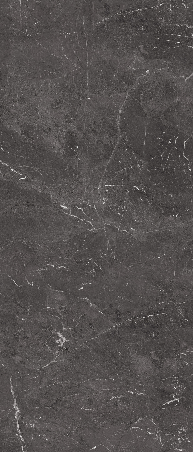 1227FD20 На пол Керамогранит 120x270 Grey Glossy 120x270