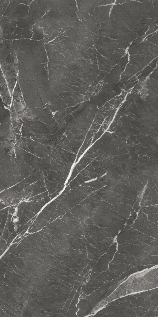 GT1206019809MHRR На пол Oscar Темно-серый матовый 60x120 - фото 3