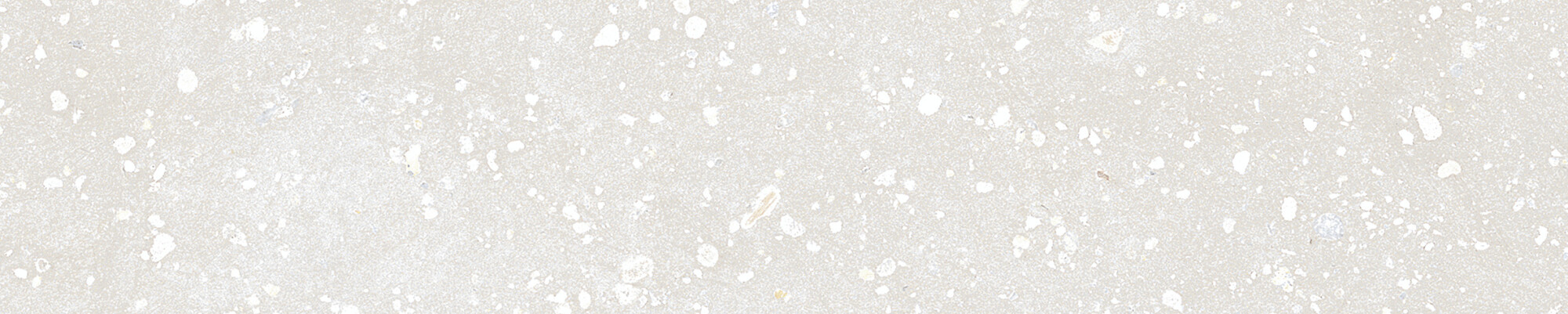 42879 На стену Trace White Plain 6x30 - фото 15