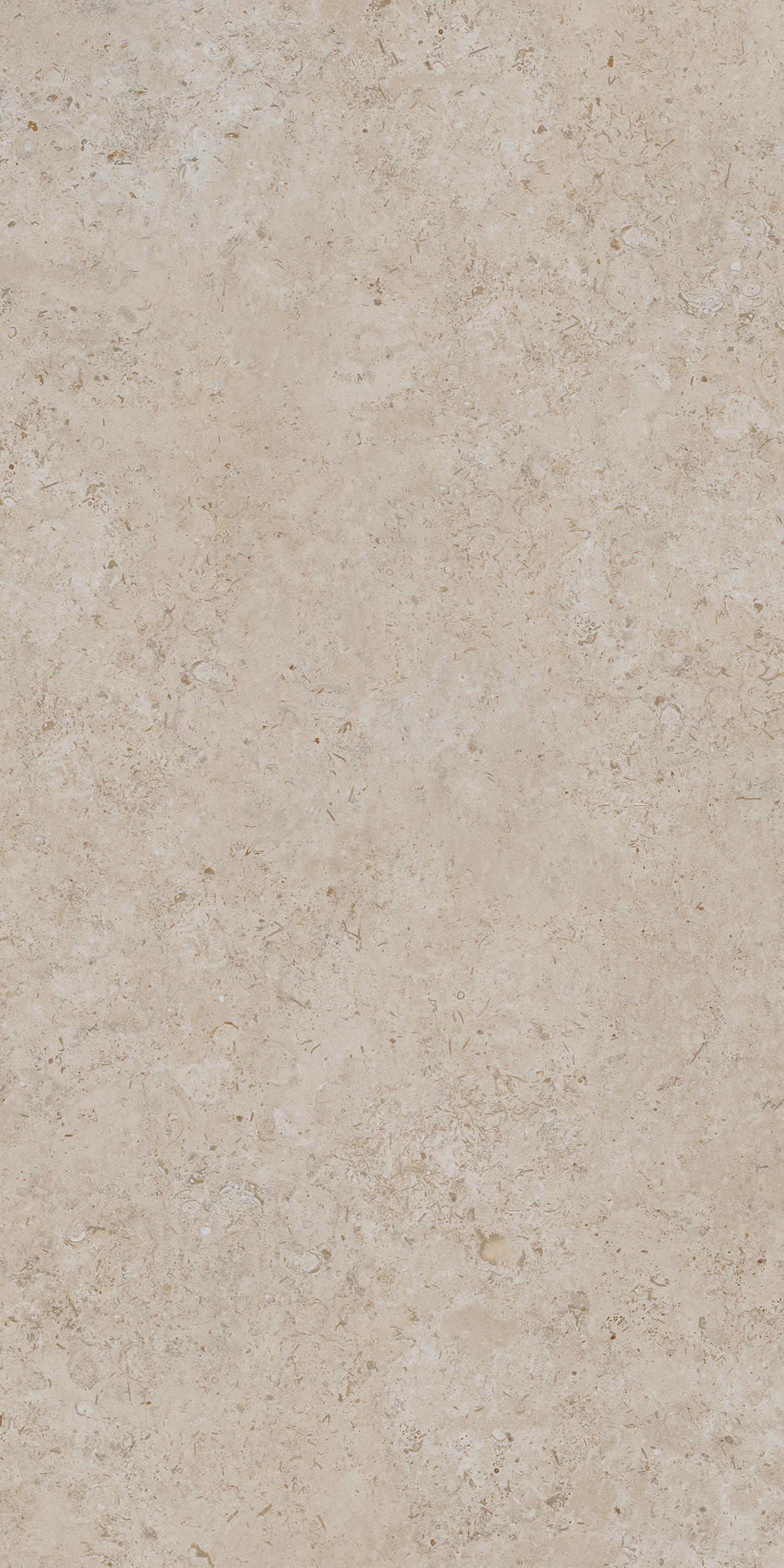 DD590500R На пол Про Лаймстоун Ат Бежевый Темный Натуральный Обрезной 119.5х238.5 - фото 3