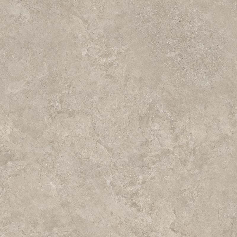 8160 На пол Shell LB 60х60 - фото 7