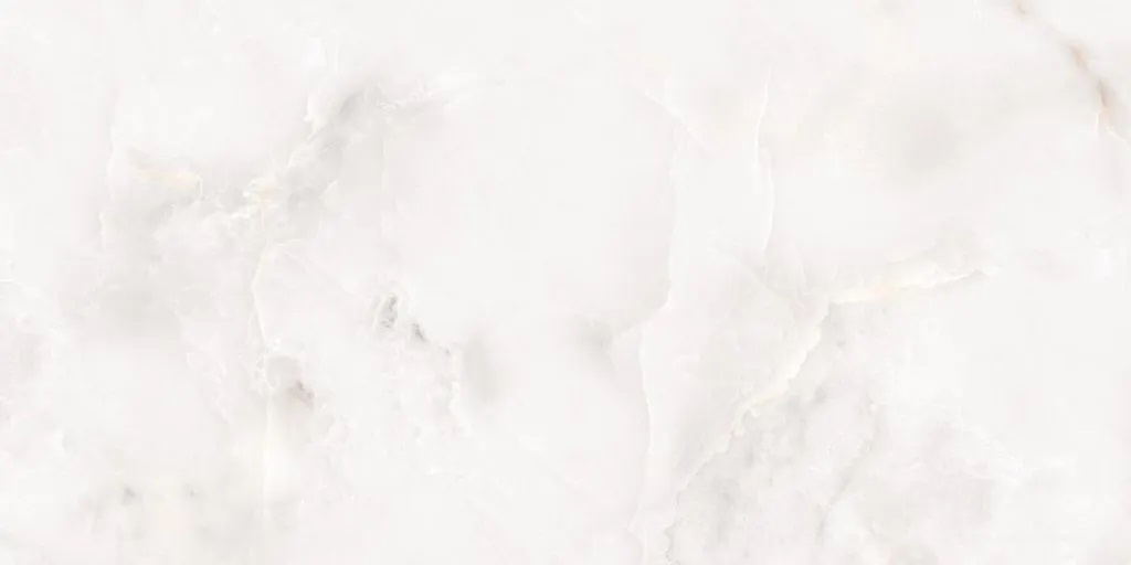 N20577 На пол Onyx Classo Polished 60x120 - фото 2