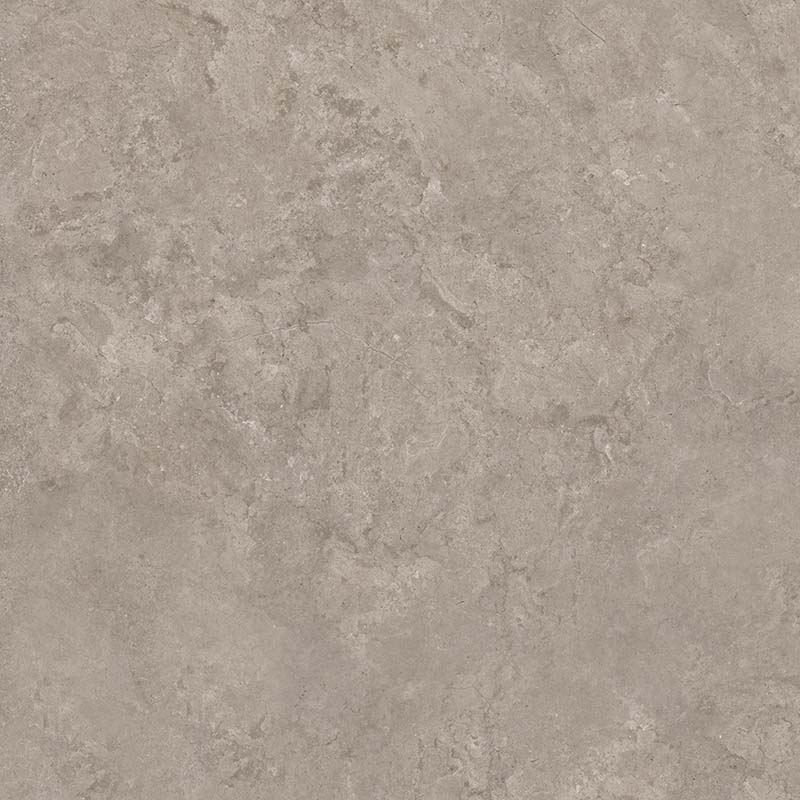 8163 На пол Shell DG 60х60 - фото 2