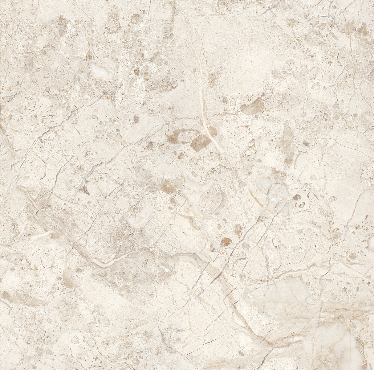 На пол Breach Silver 60x60 полированный - фото 8