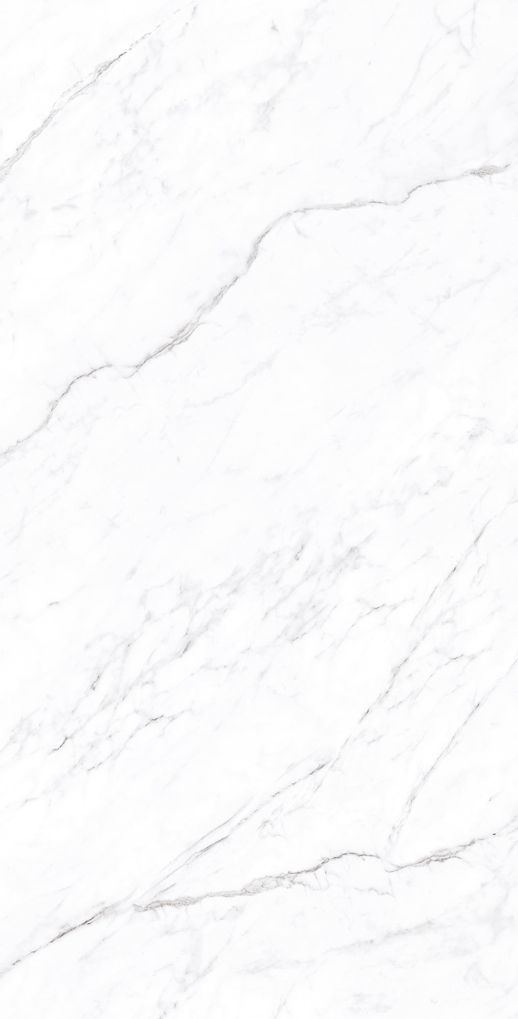 CP4003-A На пол Coralina White Carving Pro 60x120 - фото 2