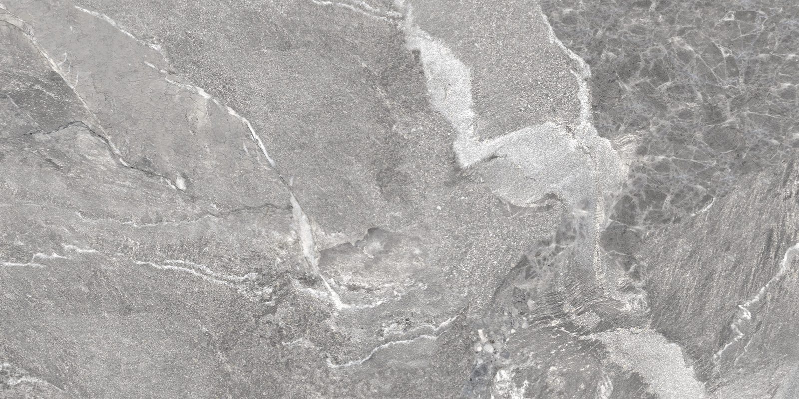 D120260M На пол Wild Dark матовый 600x1200x9.5