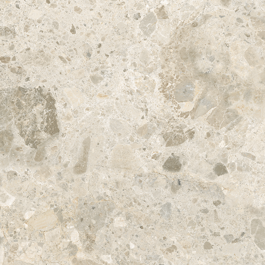 LP6060G0231R  На пол Astoria Beige бежевый матовый 59.5х59.5 - фото 4