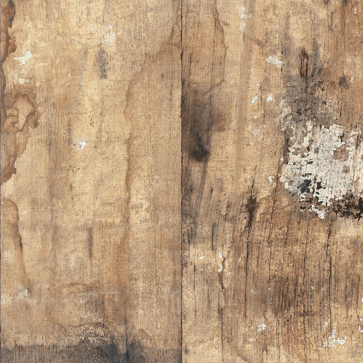 18152 На пол Fs Segarra Fs Seattle - фото 4