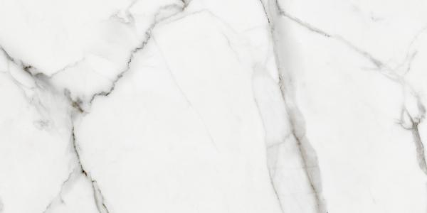 A16521 На пол Mont Blanc Белый 29.7x59.8 - фото 4