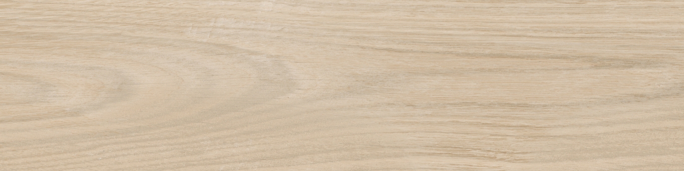 KM1040G0001N На пол Аргания Бежевый светлый матовый 9.9x40.2x0.8 - фото 15