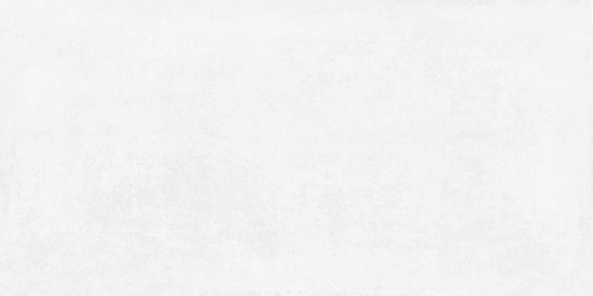 На пол Betonica Blanco PRO Светло-серый матовый R11Soft 80х160 - фото 2