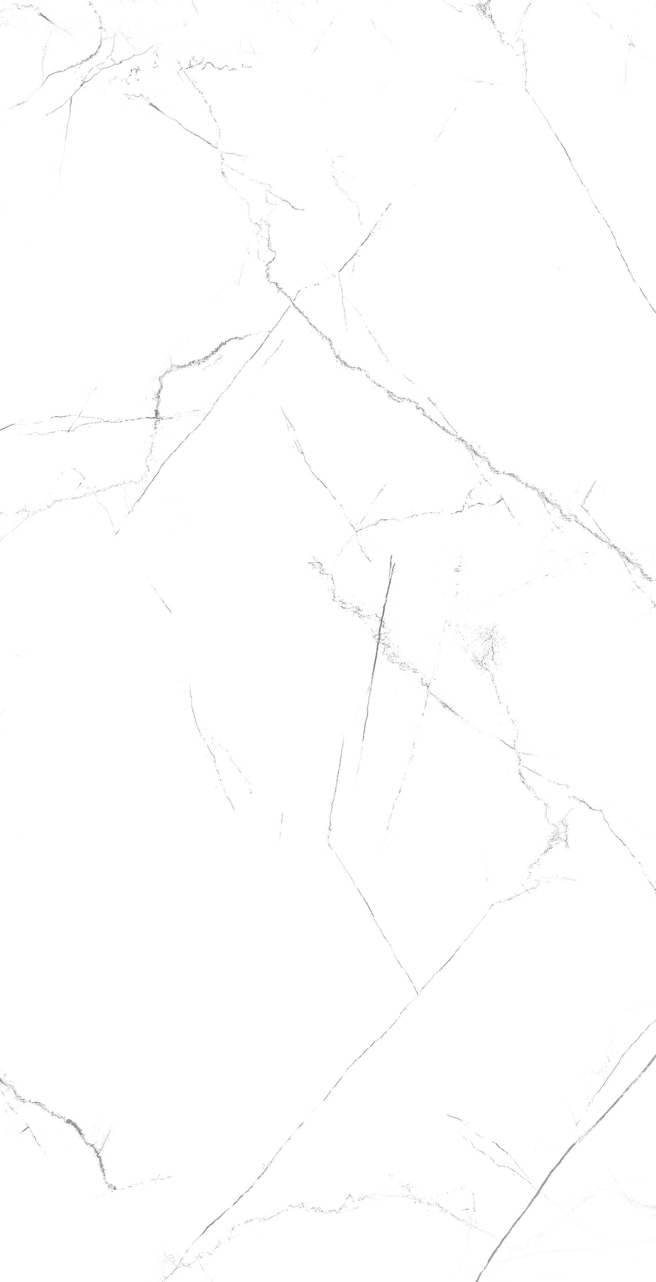 MOG101/PS_NC/60x120x9R/GW На пол Marble MOG101 White 120x60 Полированный Рект. - фото 5