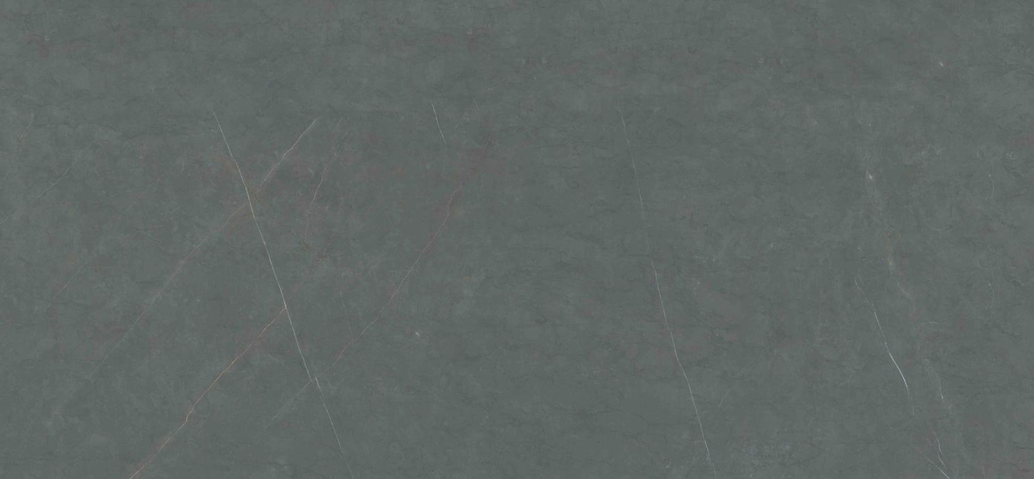 MN287CP261206 На пол Bulgaria Medium Grey Polished 6mm 120x260