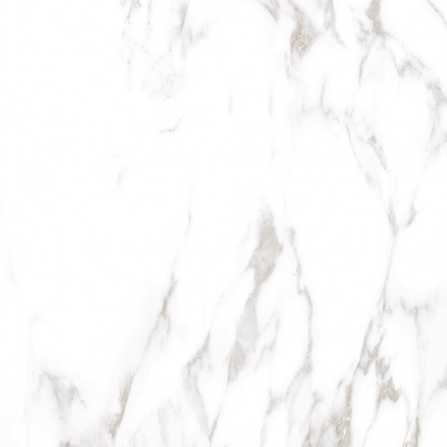 GRS01-19 На пол Ellora Lotus 60x60 - фото 14