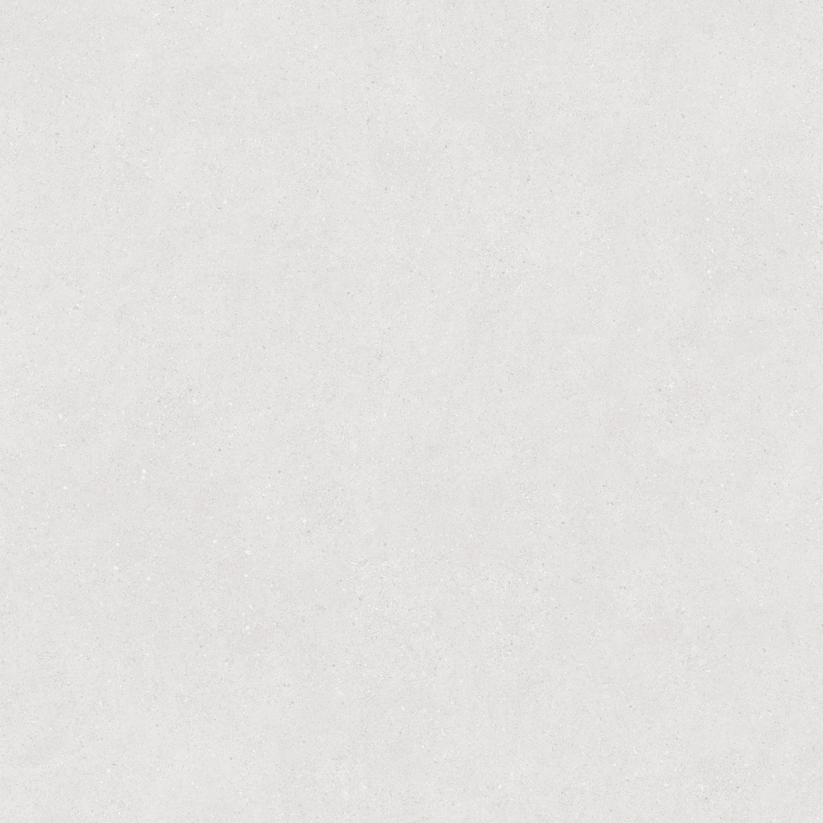 N40043 На пол Stone Basalt White Matt 120x120