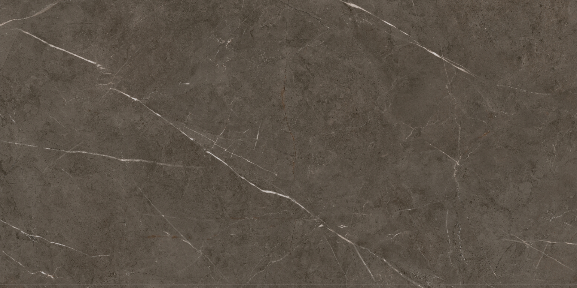 На пол Tessino Bronze Nat 60x120 - фото 5