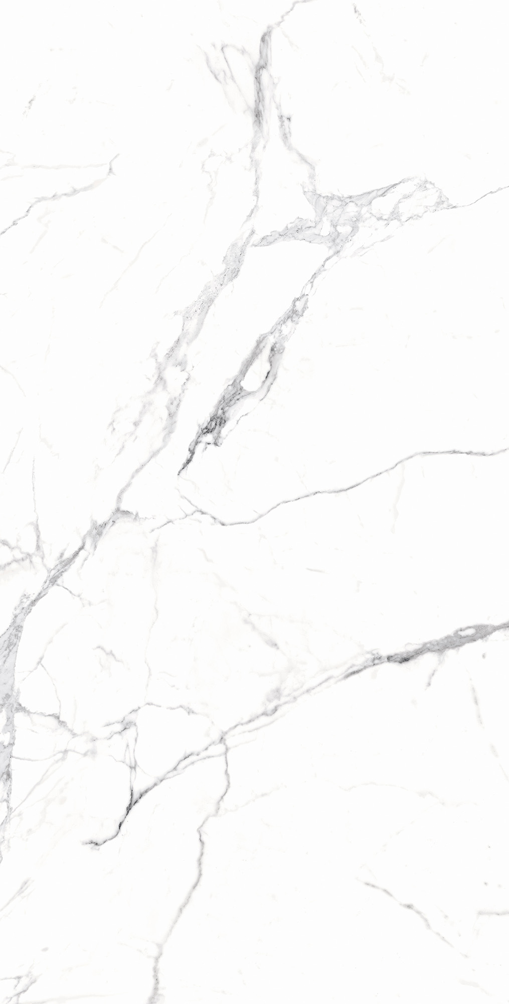 RT7018-A На пол Carrara White Matt Rustic 60x120 - фото 2