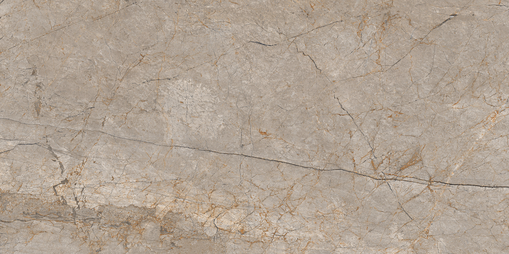 A17124 На пол Silver Roots Серый матовый ректификат 60x120 - фото 2