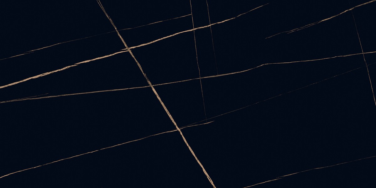 ENMAR1007HG60120 На пол Marble Sahara Noir High Glossy - фото 9