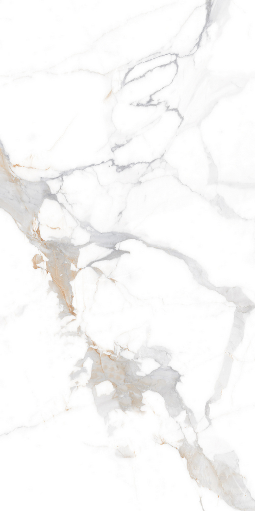 GT120606103PR На пол Calacatta Imperial Белый PR 60x120