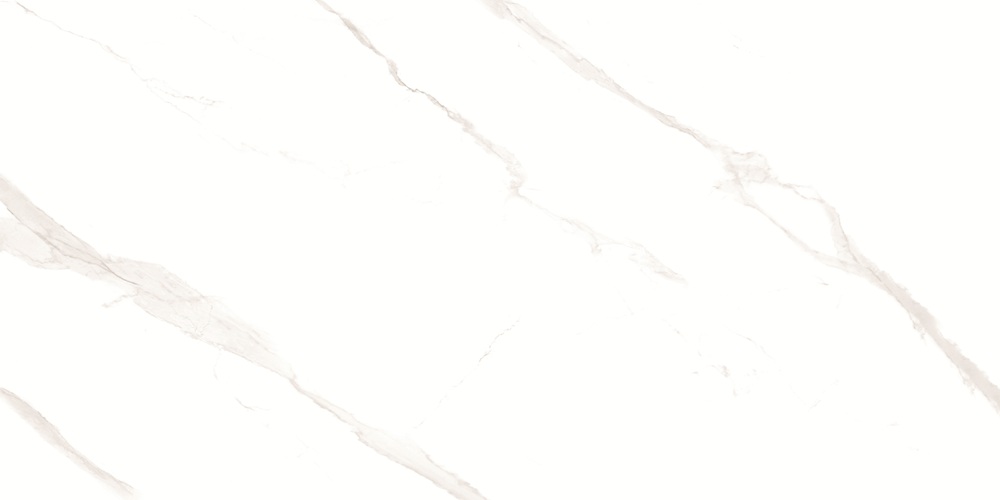 RP-238582  Pushkar White Matt 60x120 - фото 3