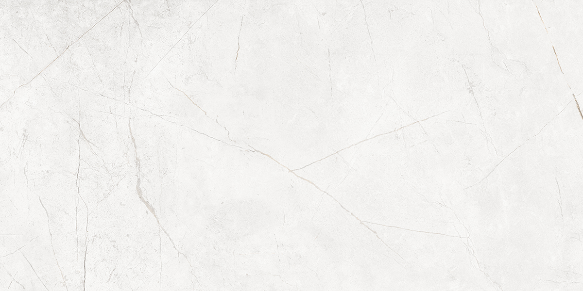 NL00/PS_NC/60x120x10R/GW На пол Nolana NL00 White Полированный Рект. 60x120x10