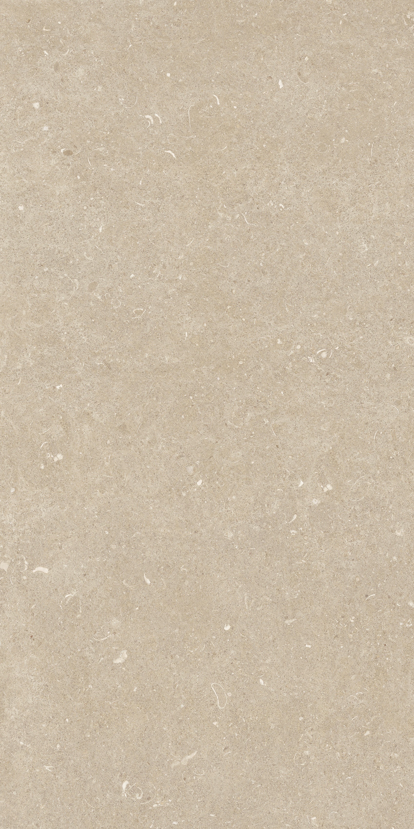 785493 На пол Rinascenza Arena Conchiglia Grip 60x120 - фото 2